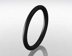 KF Viton O-Ring